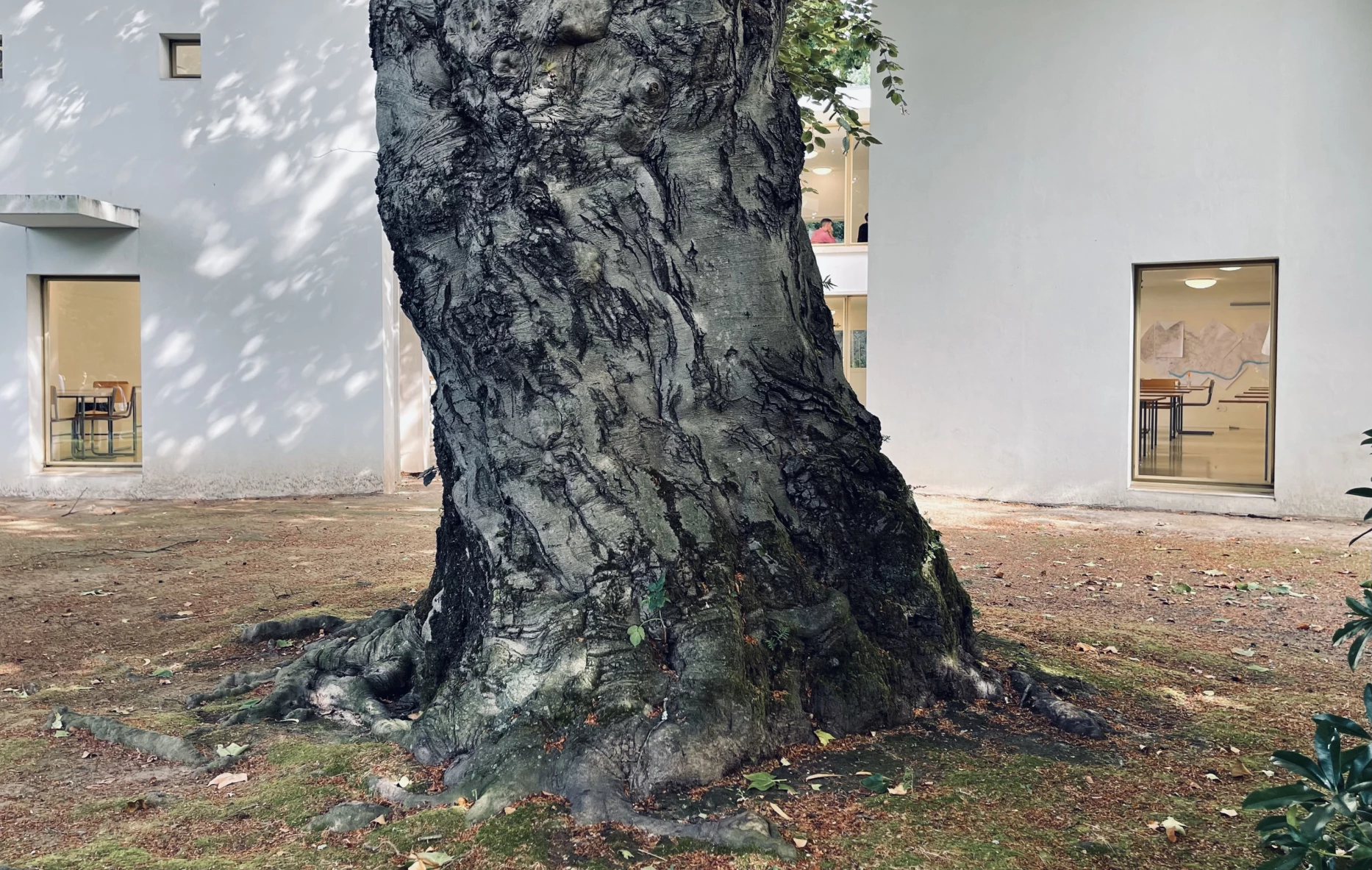 Voyage d'étude architectural, Porto, bureau d'architecte à Genève, corpus architecture urbanisme