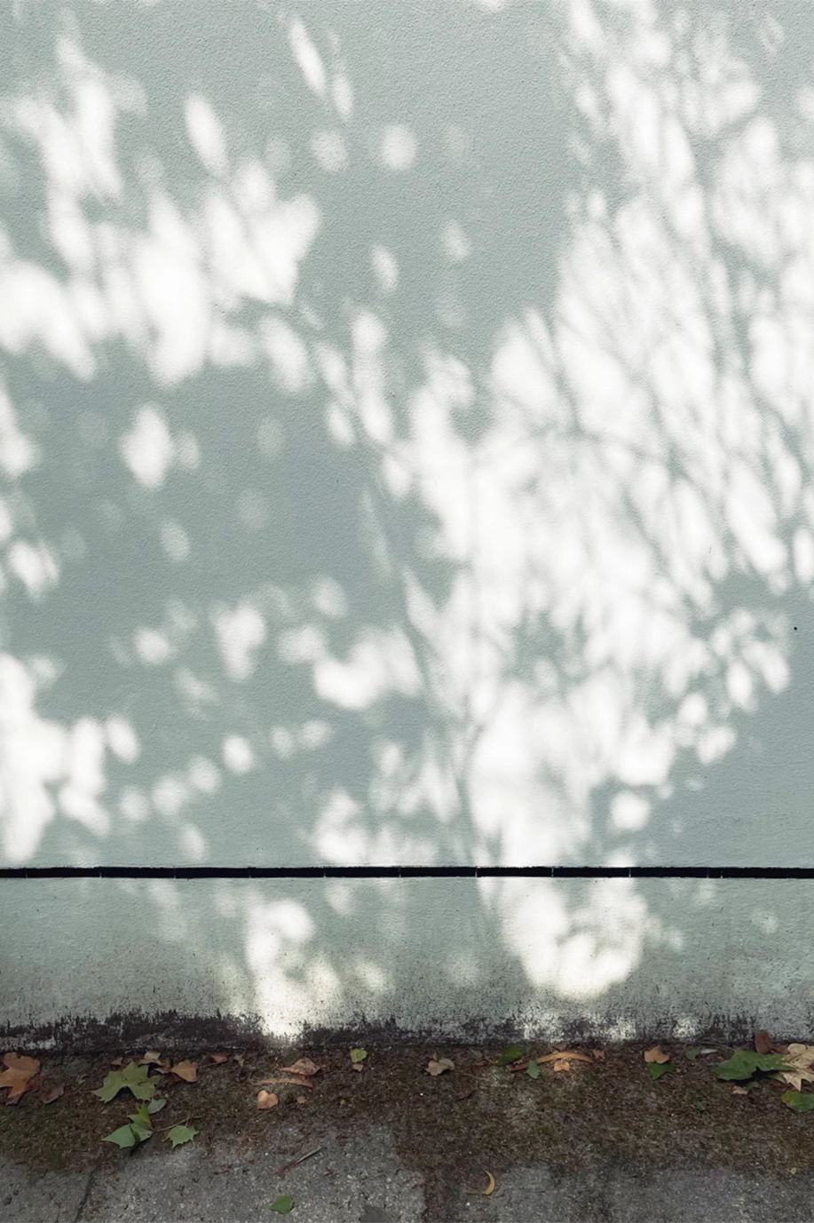 Voyage d'étude architectural, Porto, bureau d'architecte à Genève, corpus architecture urbanisme