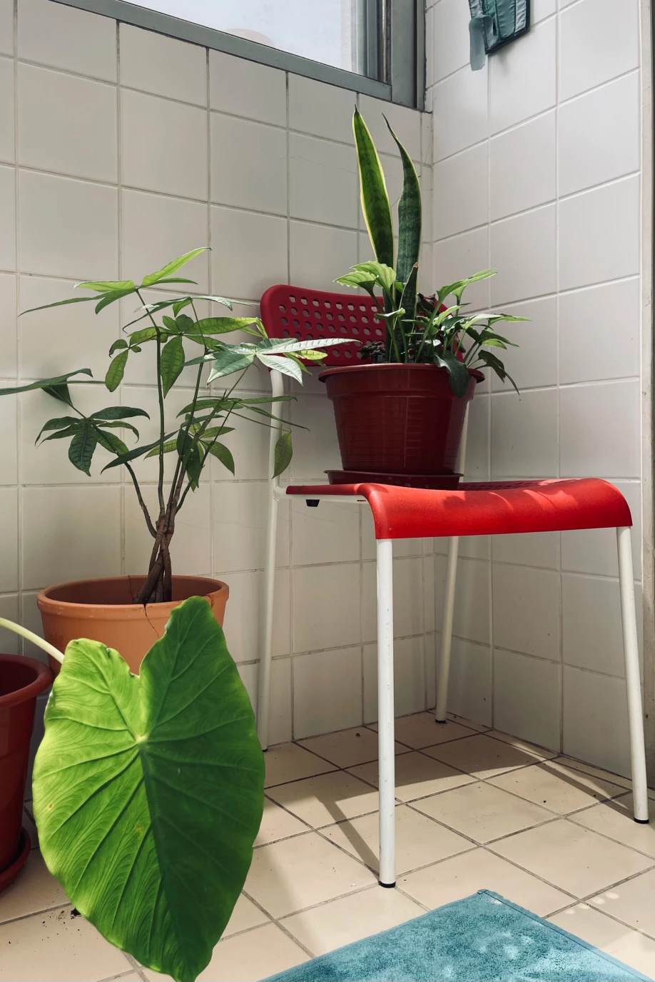 Voyage d'étude architectural, Porto, bureau d'architecture genevois, corpus architecture urbanisme