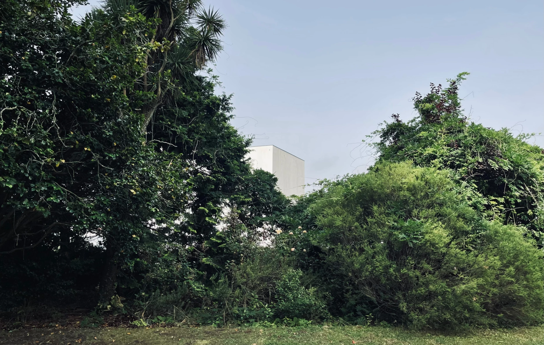 Voyage d'étude architectural, Porto, bureau d'architecture genevois, corpus architecture urbanisme