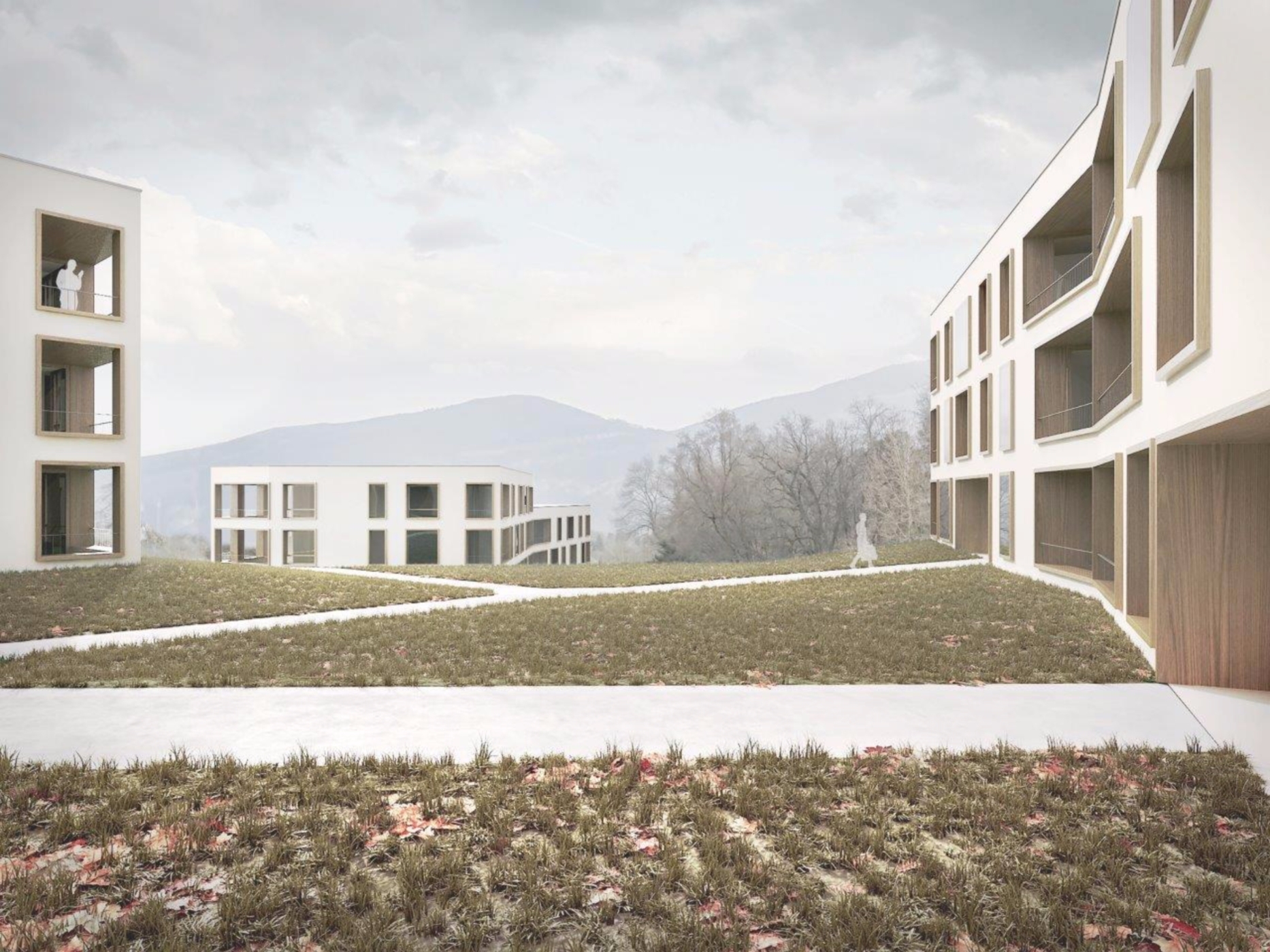 Competition for the creation of a housing estate in Geneva, architectural firm in Geneva, corpus architecture urbanisme